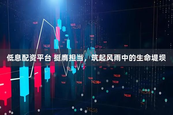 低息配资平台 挺膺担当，筑起风雨中的生命堤坝