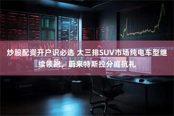 炒股配资开户识必选 大三排SUV市场纯电车型继续领跑，蔚来特斯拉分庭抗礼